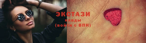 СК Богородицк