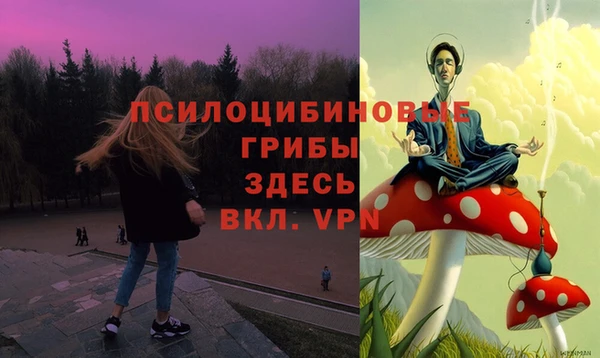 СК Богородицк