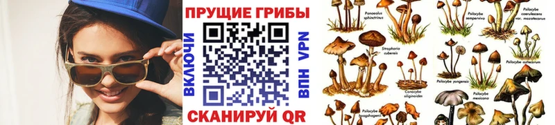 мега зеркало  Екатеринбург  Псилоцибиновые грибы Magic Shrooms 